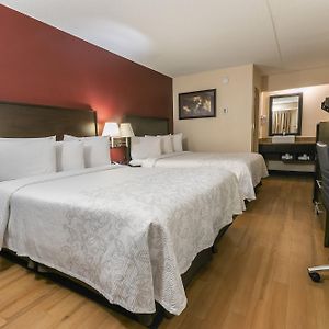 Deluxe Room Two Double Beds Smoke